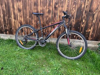 Junior 24” - 2