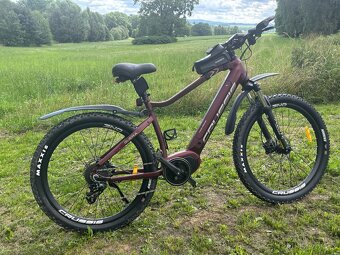 Crussis e-Guera 7.8 19" - 2