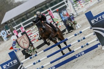 Valach do sportu - 2