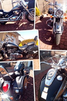 Suzuki Intruder C 800 - 2