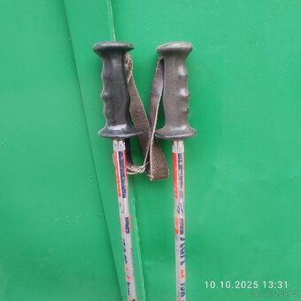 SJEZDOVÉ HŮLKY 125 CM - 2