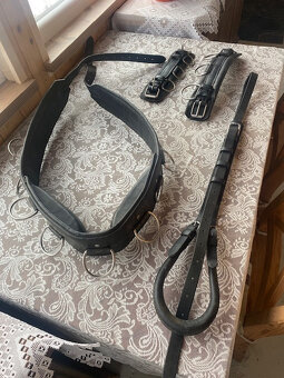 Lonžovací obřišník - postroj - 2