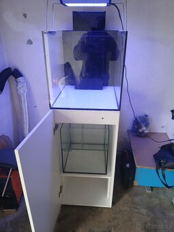 Mořské akvarium - 2