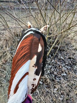 Hobby horse - 2