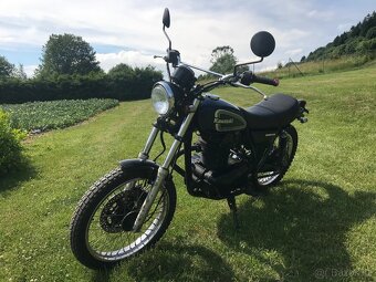 Kawasaki TR 250 - 2