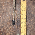 Duše Specialized 700×20/28C - 2