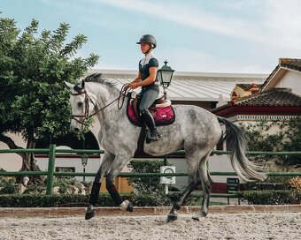 Podsedlova decka Equestrian Stockholm VS - 2