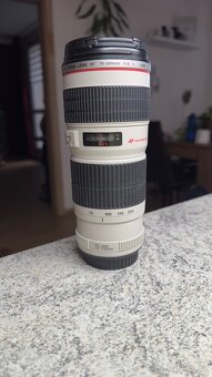 Canon 70-200 L f4 - 2