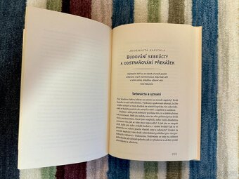 Koučinkem k dosažení úspěchu – Jack Canfield, Peter Chee - 2