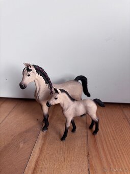 Sada Schleich - 2