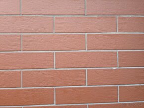Ceramika Paradyz Obklad Natural Rosa 24,5x6,6 - 2