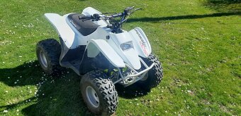 ACCESS drr 100 - 2