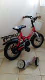 kolo 12" Leader fox - 2