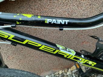 Superior Paint 24 - 2