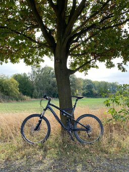 Specialized Stumpjumper - 2
