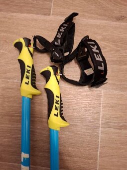 Hůlky sjezdové - 2