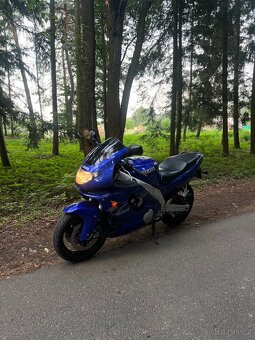 Yamaha YZF600R - 2
