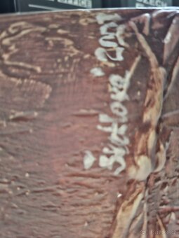 obraz s názvem "Bujení" od autorky Šteklové - 2