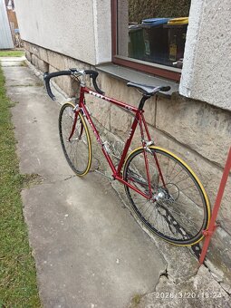 Fort, vel. 60 cm, ro. 78 - 2