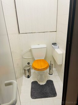 Pronájem bytu 3+1 v Bechyni - 2