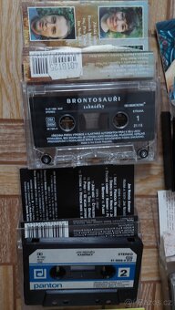 Brontosavři Nedvědi - 2