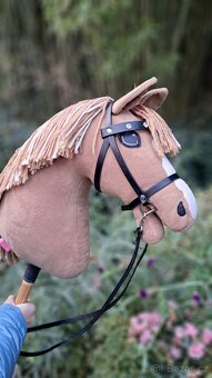 Hobby horse Larden - 2