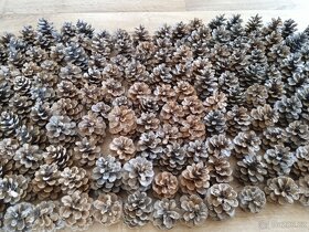 Šišky z borovice - 2