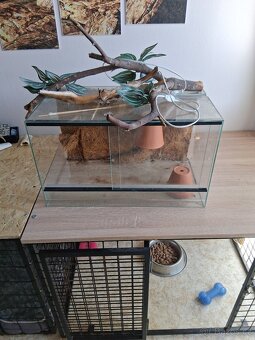 Terarium - 2