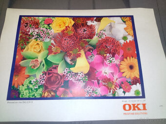 OKI C 610 - 2