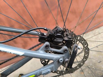 Focus Black Forest 29" - 2