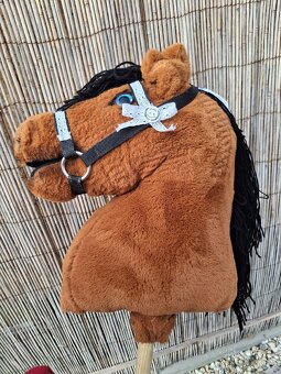 Hobby horse - 2