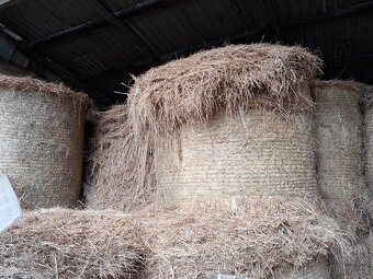 Seno kulate baliky - 2