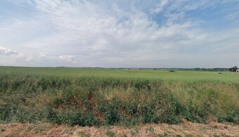 Zemědělská půda, prodej, Horoušany, Praha východ - 2