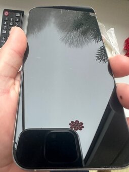 iPhone 15 Pro Max 256gb stříbrný Titan - 2
