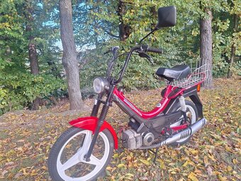 Manet korado v pěkném stavu - 2