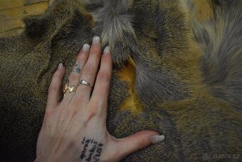 Kožešina Srna 1 - 2