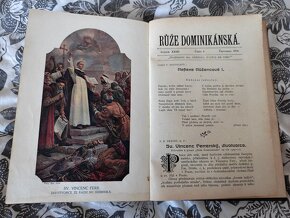 Růže dominikánská - 2
