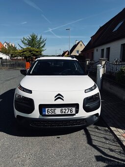 C4 Cactus - 2