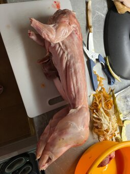 Králíci - maso v kuchyňské úpravě - 2