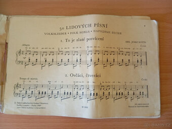 Prodám Harmoniku Delicia Pianola IV - 2
