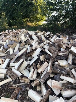 Palivové dřevo Suché - 2