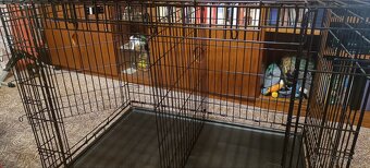 Kvalitní klec pro psa - 2