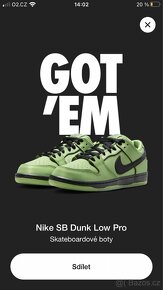 Nike SB Dunk / Nike Air Jordan 4 - 2