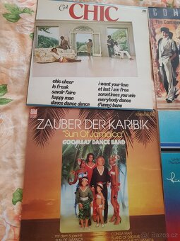 LP VINYLOVÉ DESKY - 2