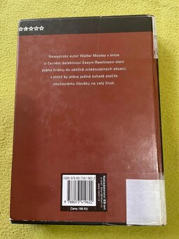 Polibek s chutí skořice - Walter Mosley - 2