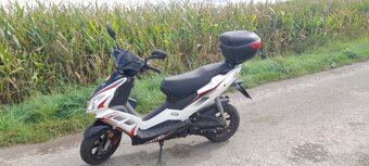 Sonny Longjia LJ50QT-M - 2