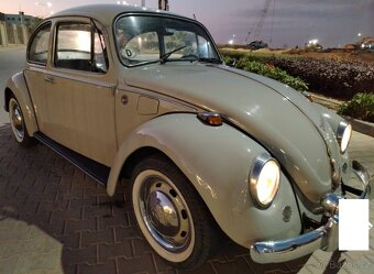 Volkswagen Brouk - 2