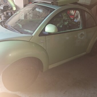 New beetle - 2