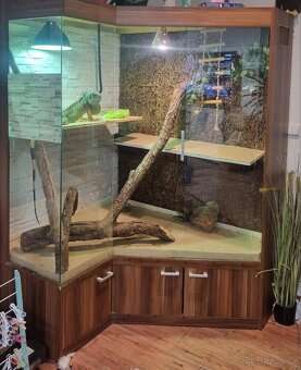 Prodám terarium. - 2