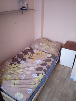 Pronajmu pokoj s kuch.koutem pecovatelce - 2